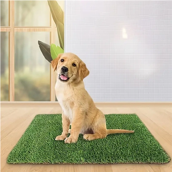 🐾 PetGuard Mat – ХИГИЕНСКИ КИЛИМ ЗА ДОМАШНИ МИЛЕНИЦИ ~ Trendiko